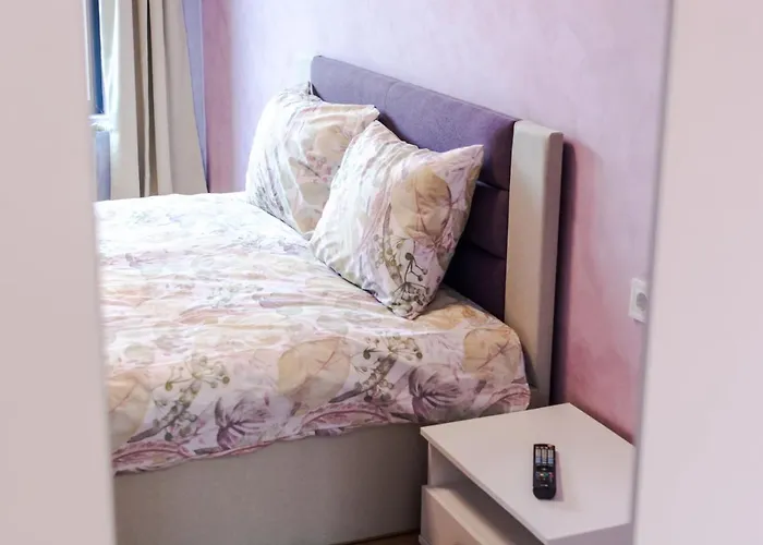 The Right Choice 4 Sofia